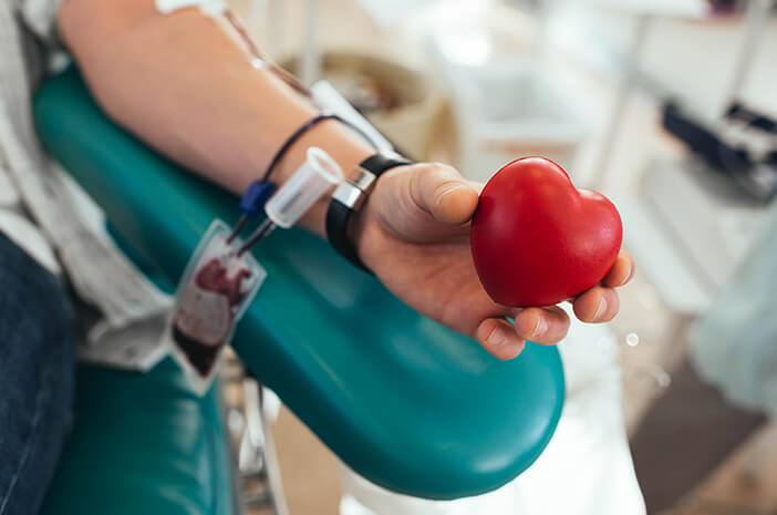 Foto Donor Darah-Halo Doc