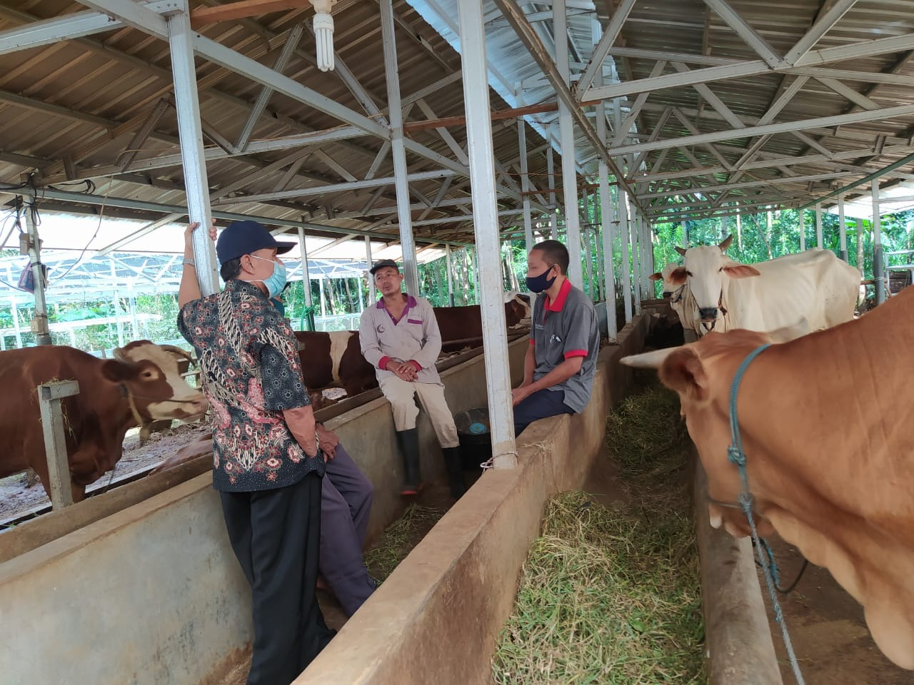 Suharyanto berdiskusi saat mengunjungi kandang sapi komunal di Desa Tubanan